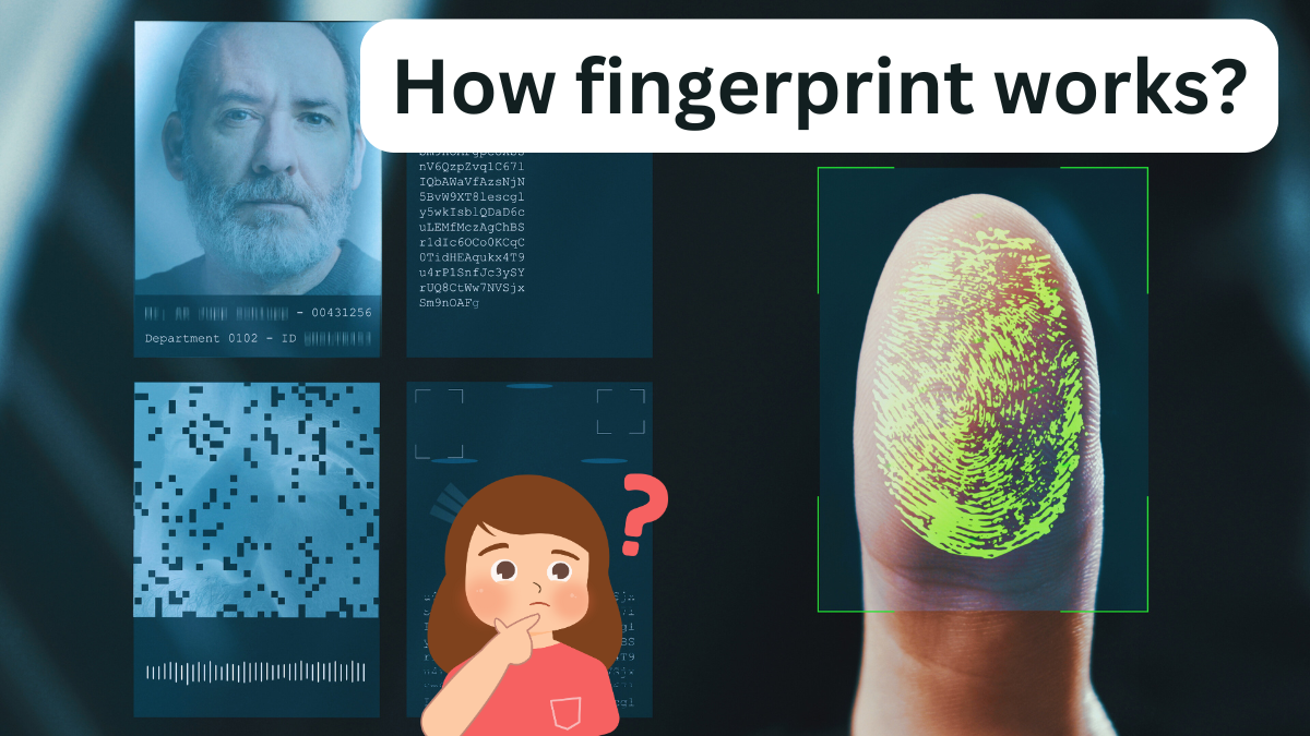 How fingerprint works