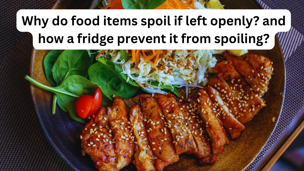 Why do food items spoil if left openly and how a fridge prevent it from spoiling